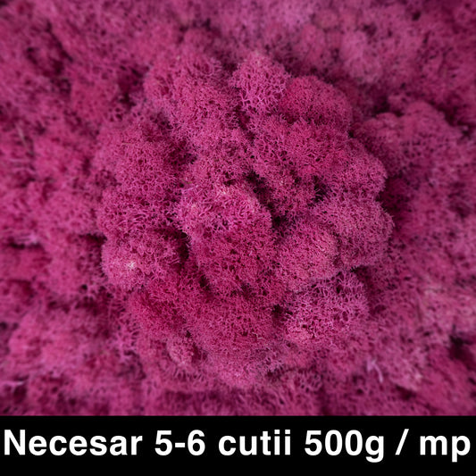 Licheni curatati si fara radacina conservati 500g NET. calitate ULTRA PREMIUM. roz magenta RR32 NEW