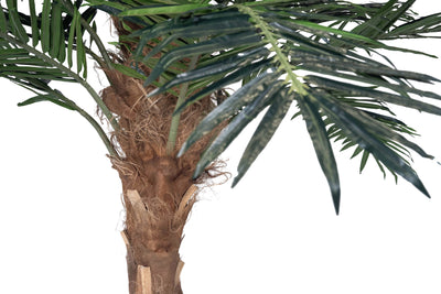 Palm artificial H350cm Phoenix exotic cu trunchi natural. coroana D350cm cu protectie UV