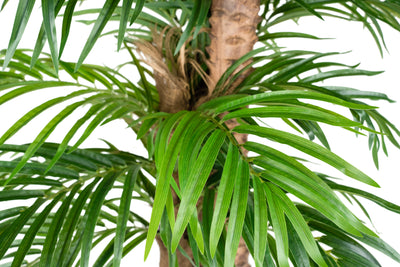 Palm artificial H200cm Phoenix roebelenii cu 42 frunze