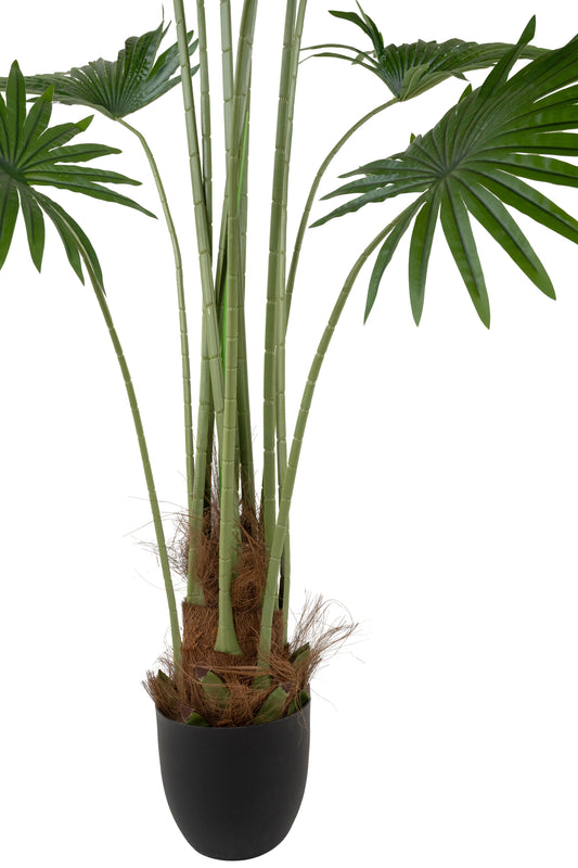 Palmier artificial H160cm Washingtonia robusta cu 12 frunze cu protectie UV