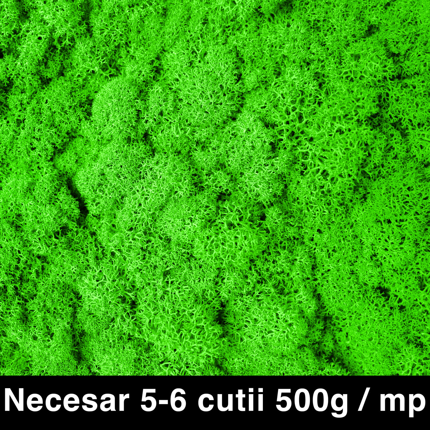 Licheni curatati si fara radacina conservati 500g NET, calitate ULTRA PREMIUM, verde neon RR34 NEW