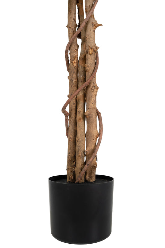 Copac artificial H210cm Ficus variegat cu 3 trunchiuri si 1638 frunze verde cu alb