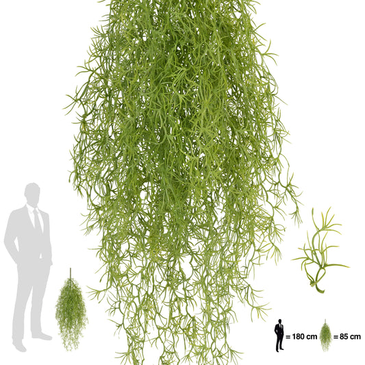 Planta curgatoare Long hair (tillandsia) 85 cm verde