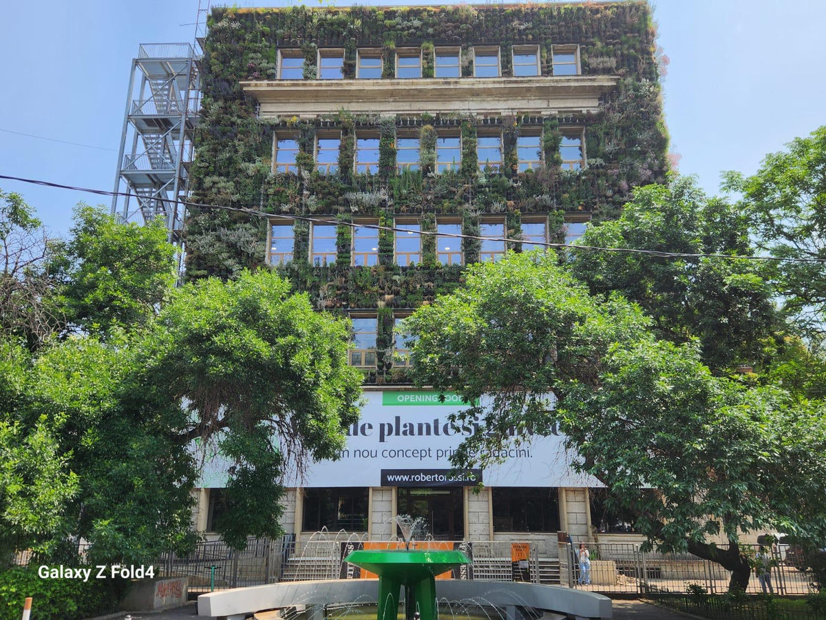 Fațada Mall-ului de Plante Roberto Rossi