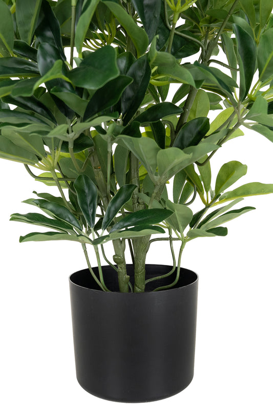 Planta artificiala H80cmSchefflera arboricola cu 766 frunze