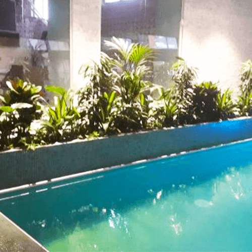 Spa și wellness