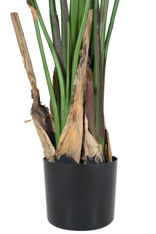 Planta artificiala H180cm Strelitzia nicolai cu 12 frunze