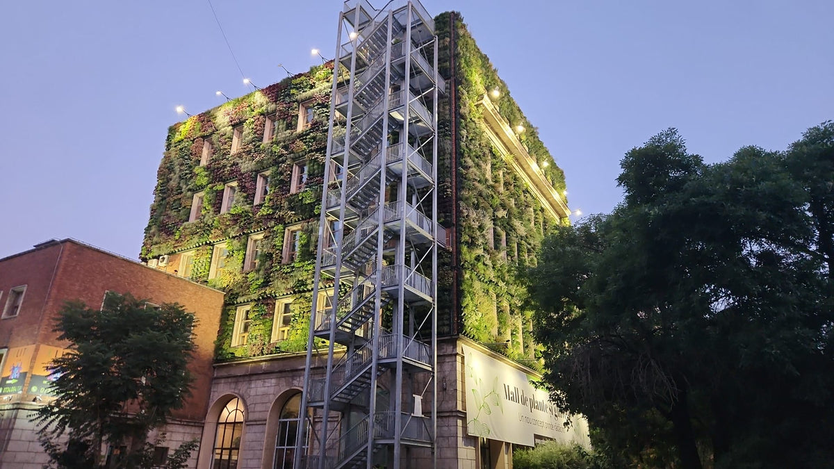 Fațada Mall-ului de Plante Roberto Rossi, acoperită cu plante