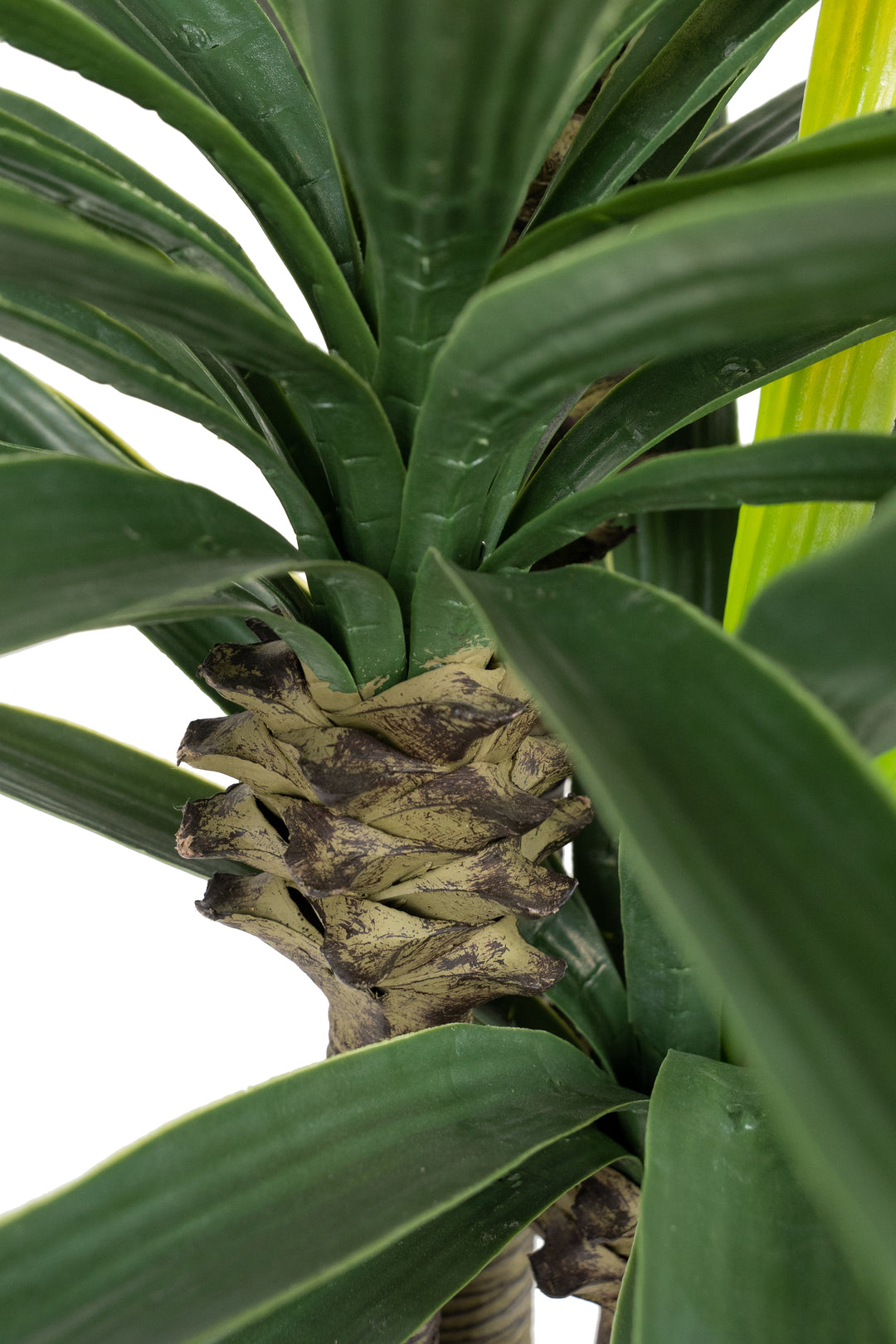 Planta artificiala H160cm Yucca elephantipes – Roberto Rossi