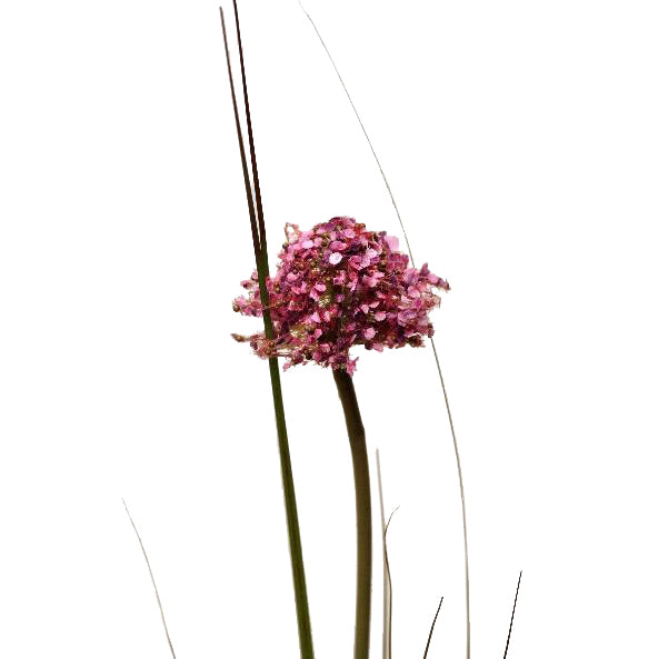 Allium artificial fuchsia H65 cm HO