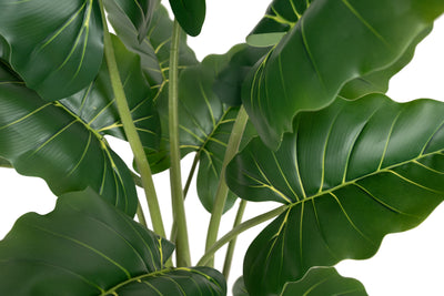 Alocasia artificiala H110cm calidora cu 14 frunze