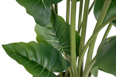 Alocasia artificiala H110cm calidora cu 14 frunze