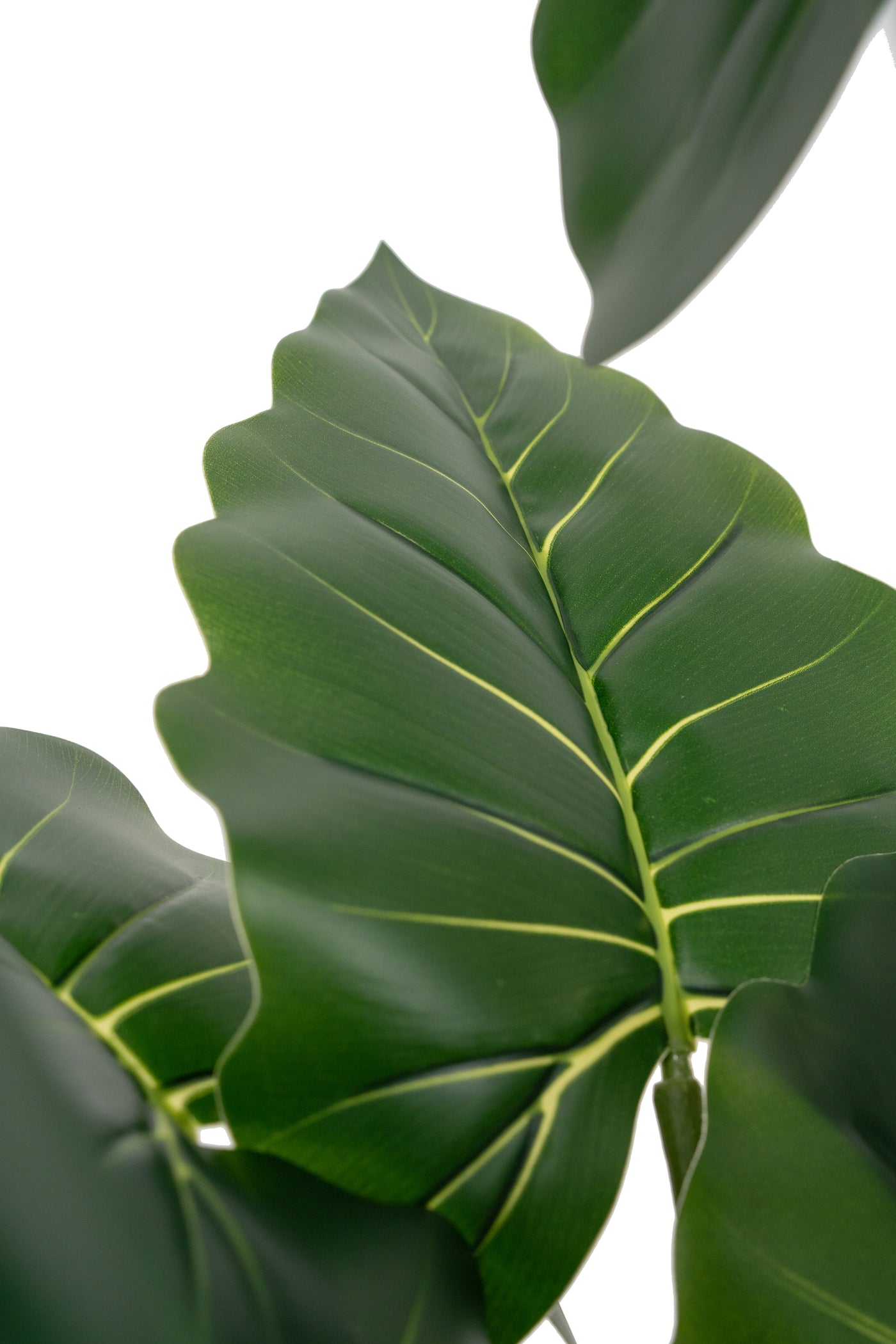Alocasia artificiala H110cm calidora cu 14 frunze
