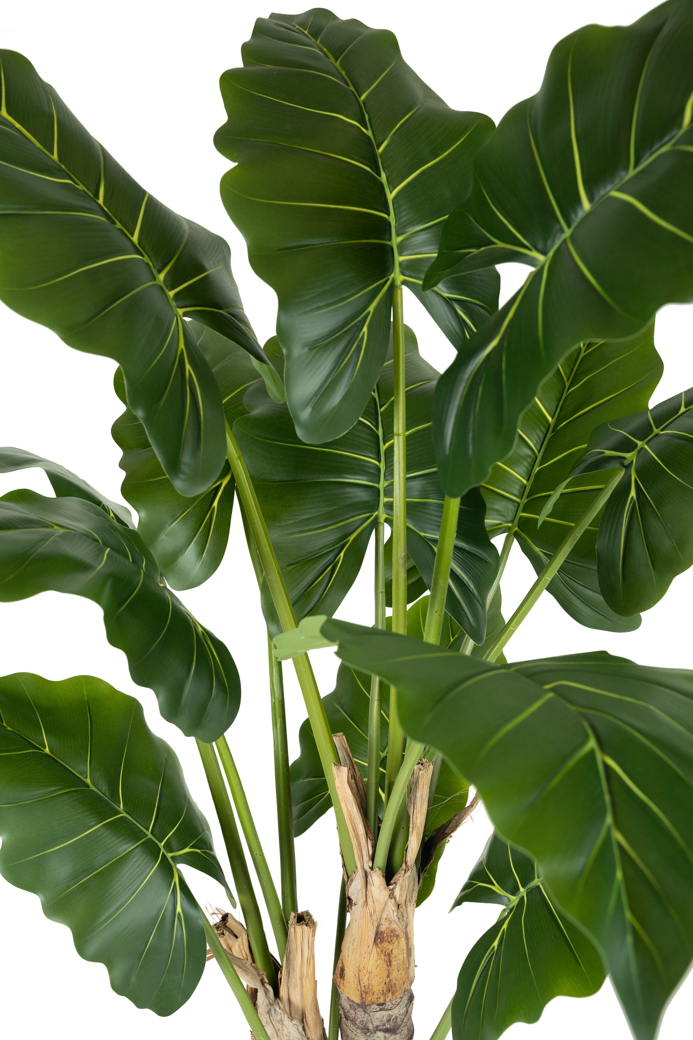 Alocasia artificiala H140cm calidora cu 13 frunze