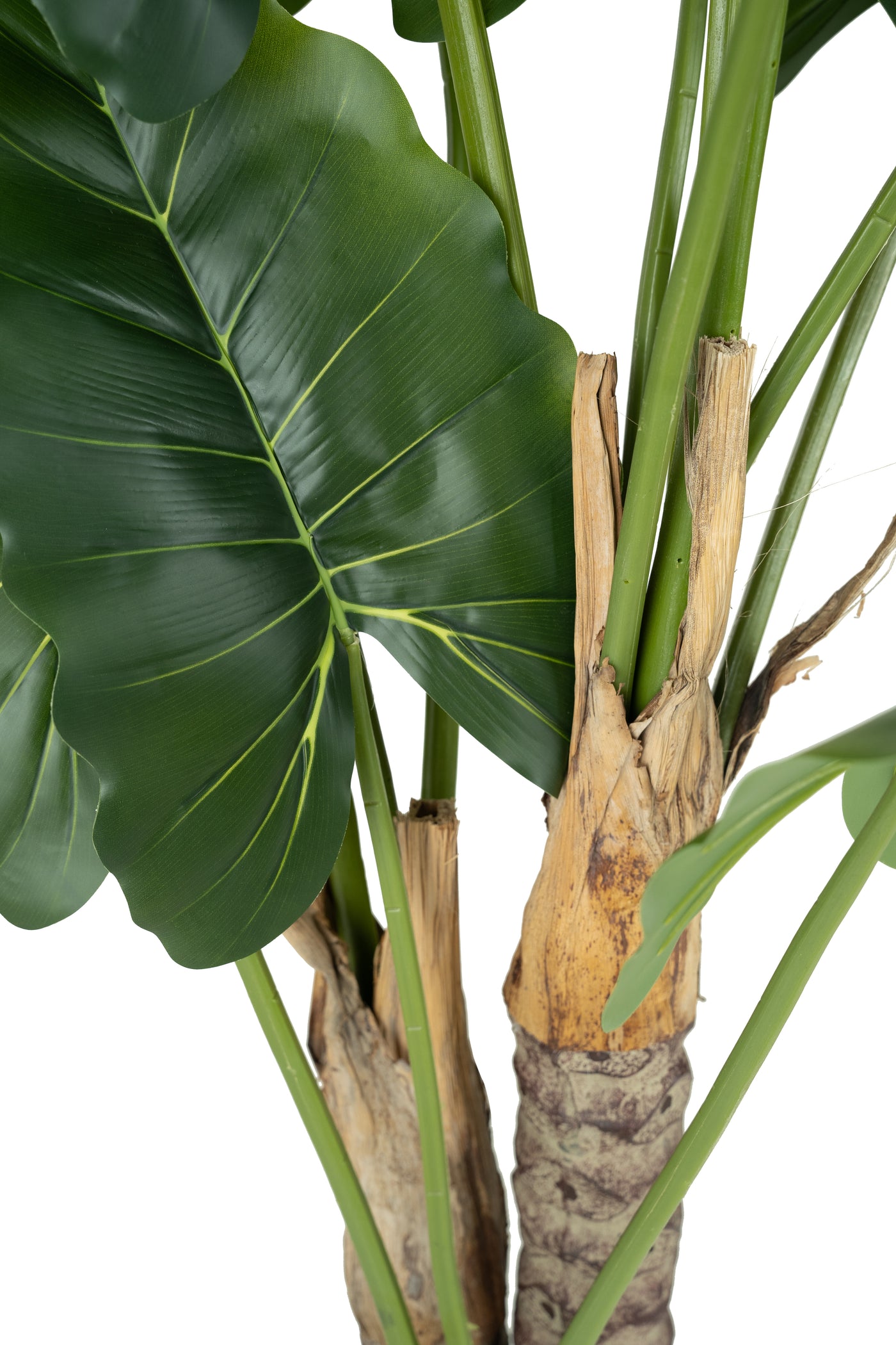 Alocasia artificiala H140cm calidora cu 13 frunze