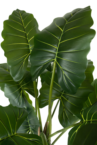 Alocasia artificiala H140cm calidora cu 13 frunze