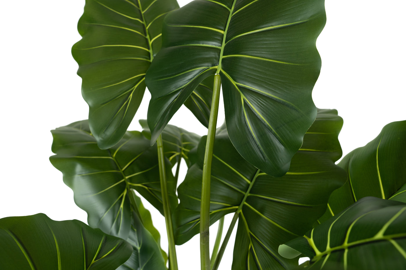 Alocasia artificiala H140cm calidora cu 13 frunze