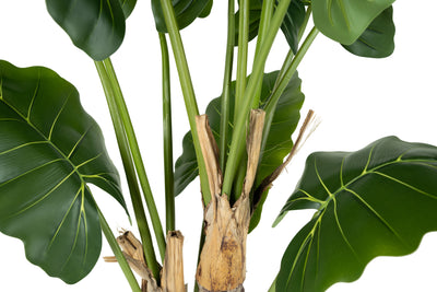 Alocasia artificiala H140cm calidora cu 13 frunze