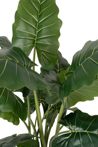 Alocasia artificiala H140cm calidora cu 14 frunze