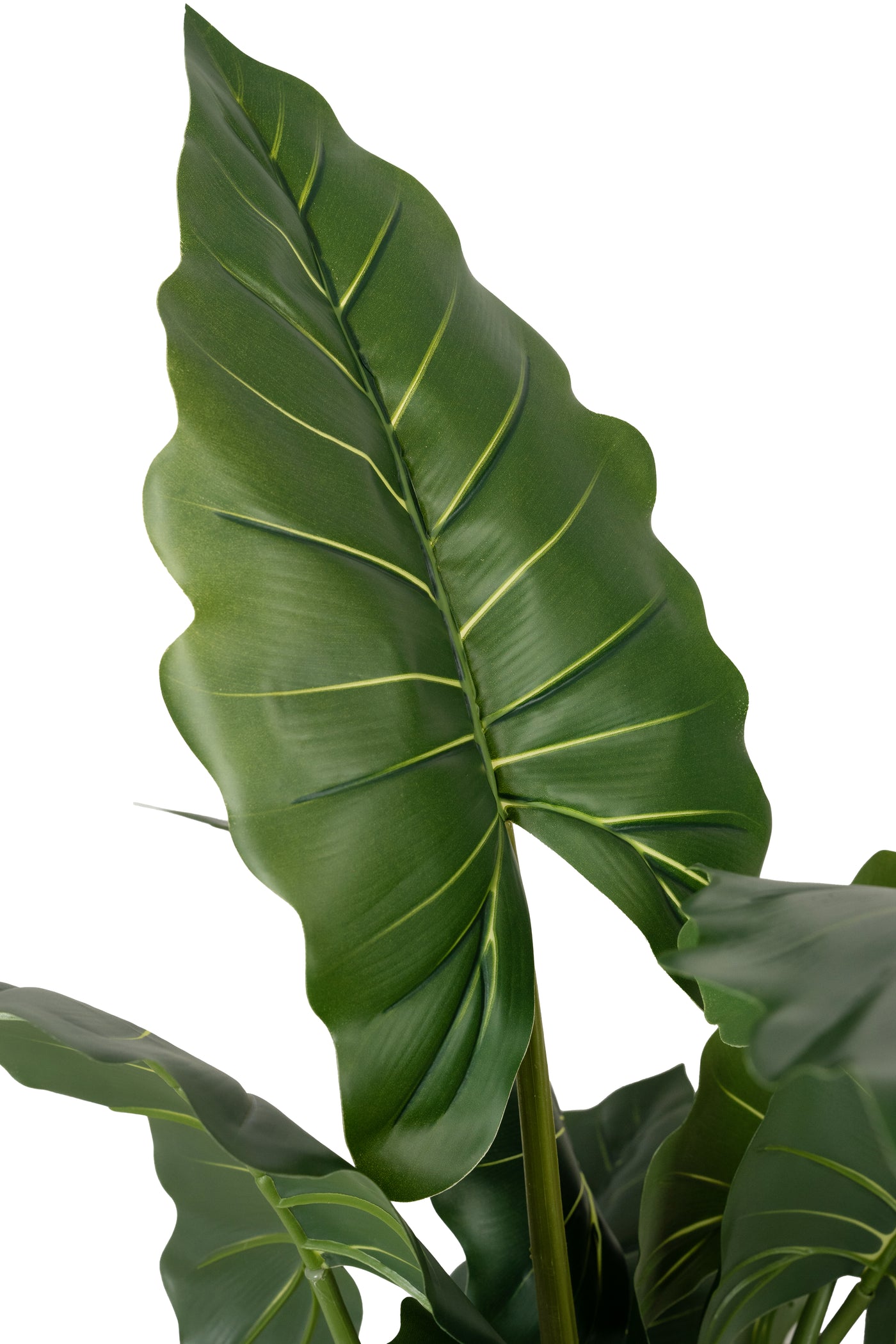 Alocasia artificiala H140cm calidora cu 14 frunze