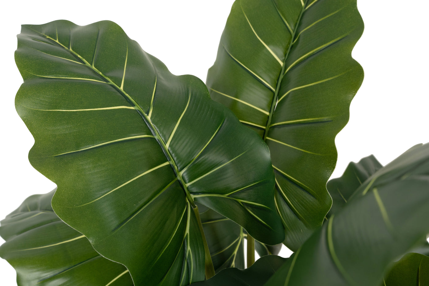 Alocasia artificiala H140cm calidora cu 14 frunze