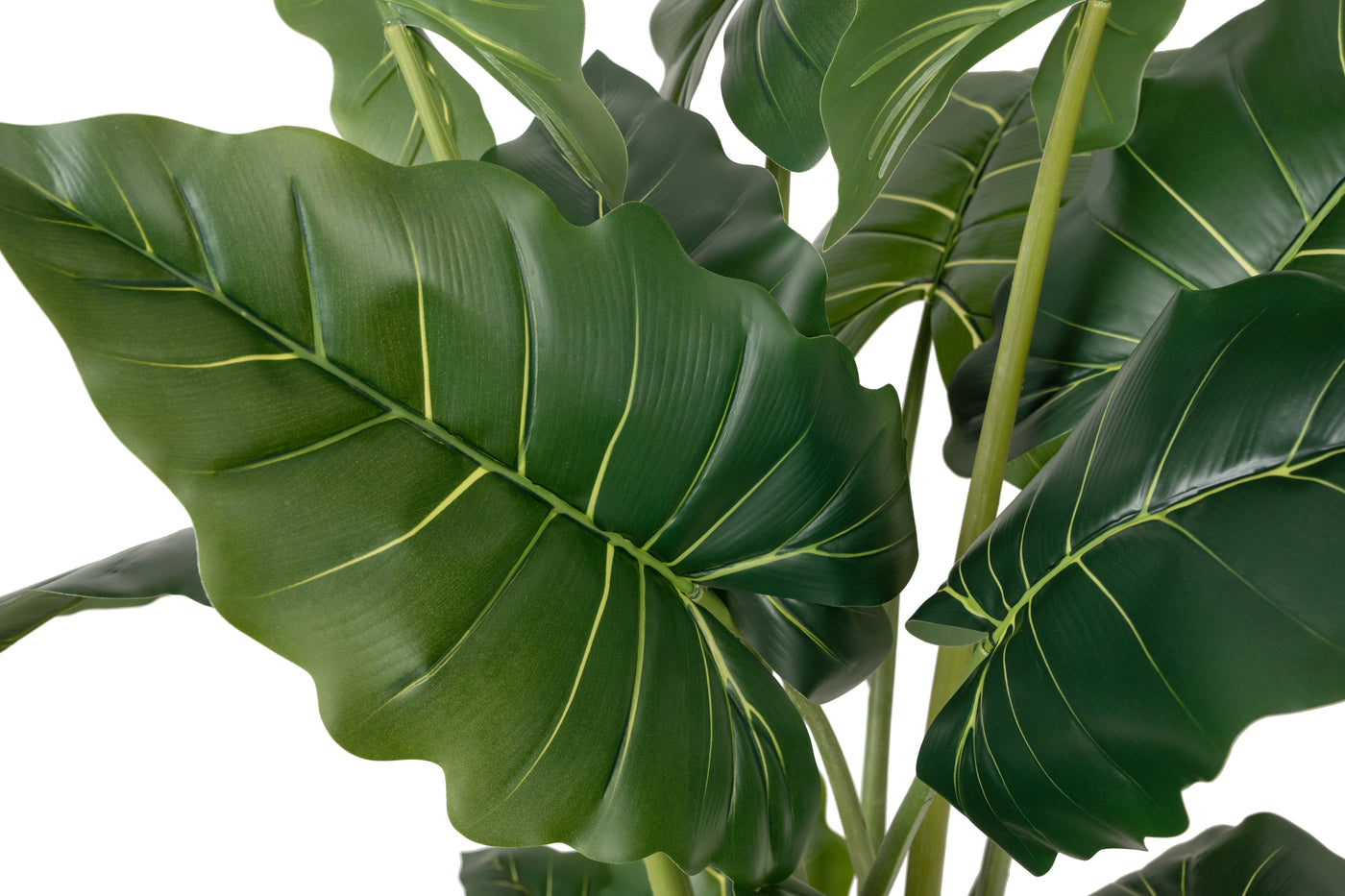 Alocasia artificiala H140cm calidora cu 14 frunze