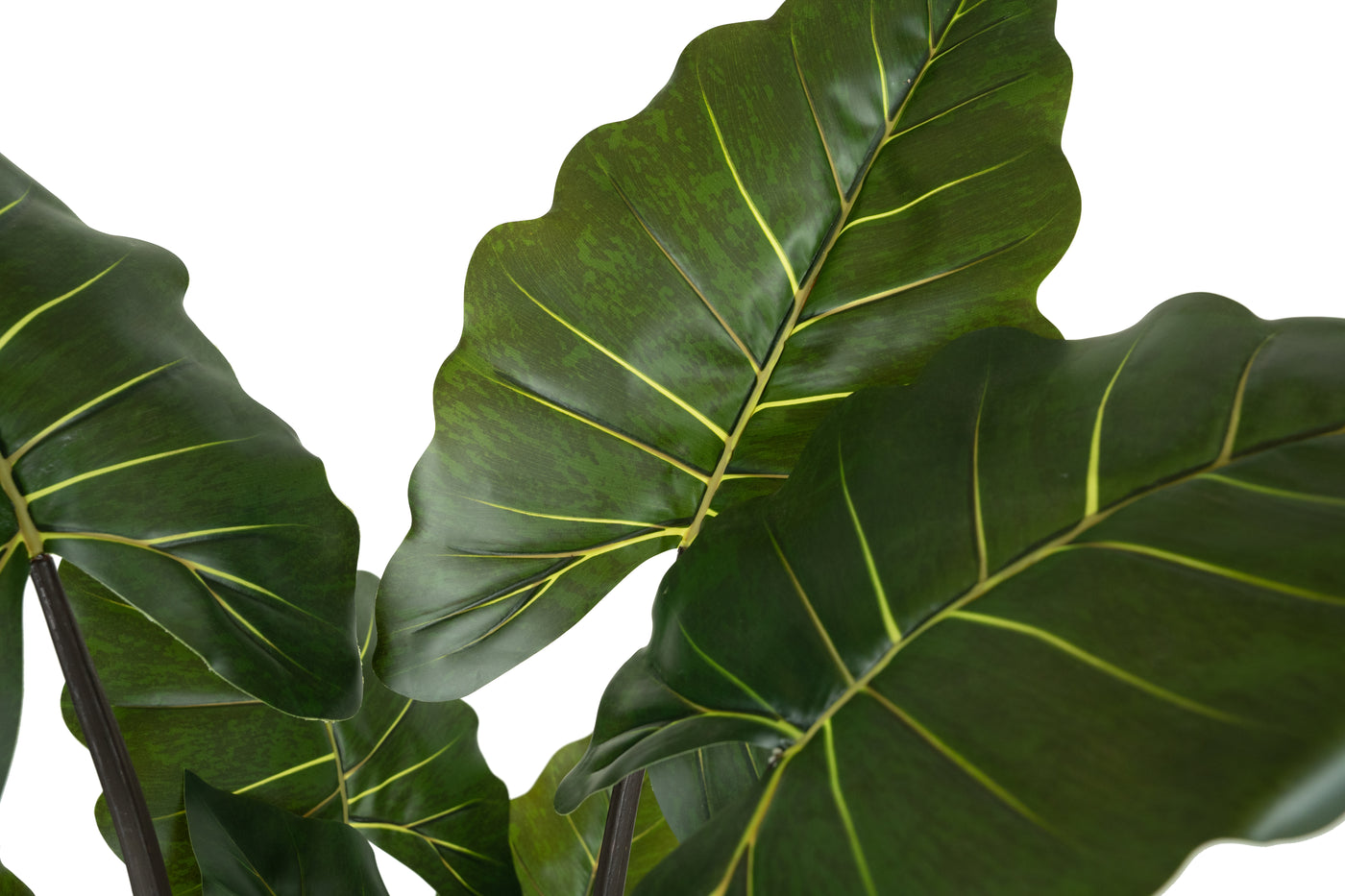 Alocasia artificiala H150cm calidora cu 14 frunze