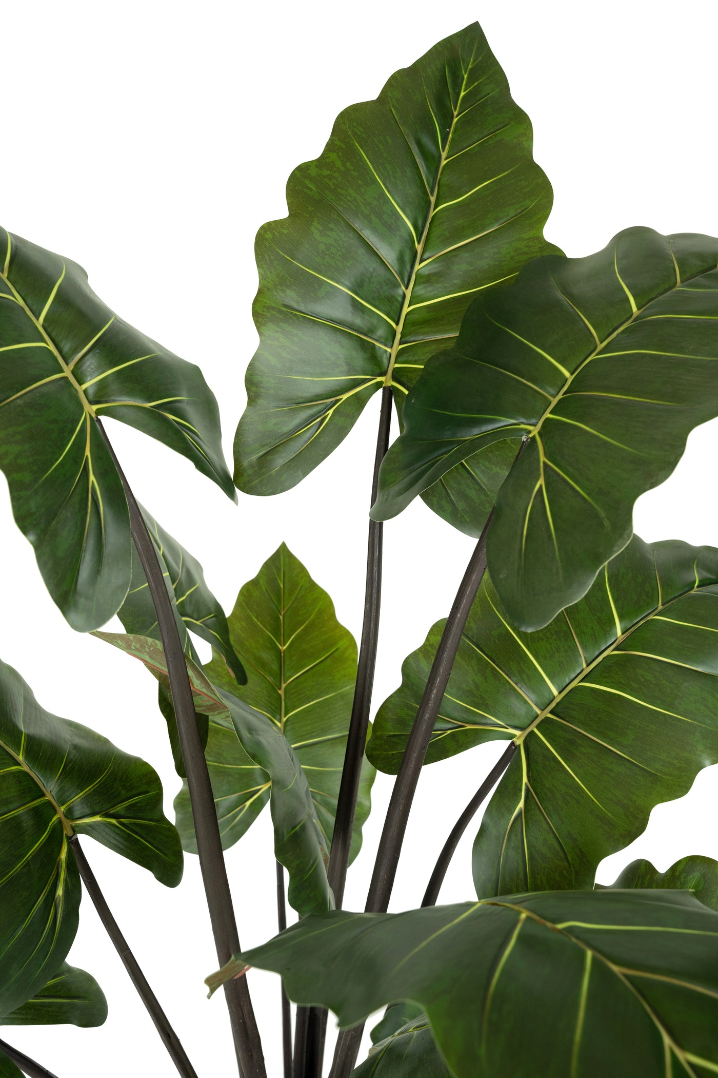 Alocasia artificiala H150cm calidora cu 14 frunze