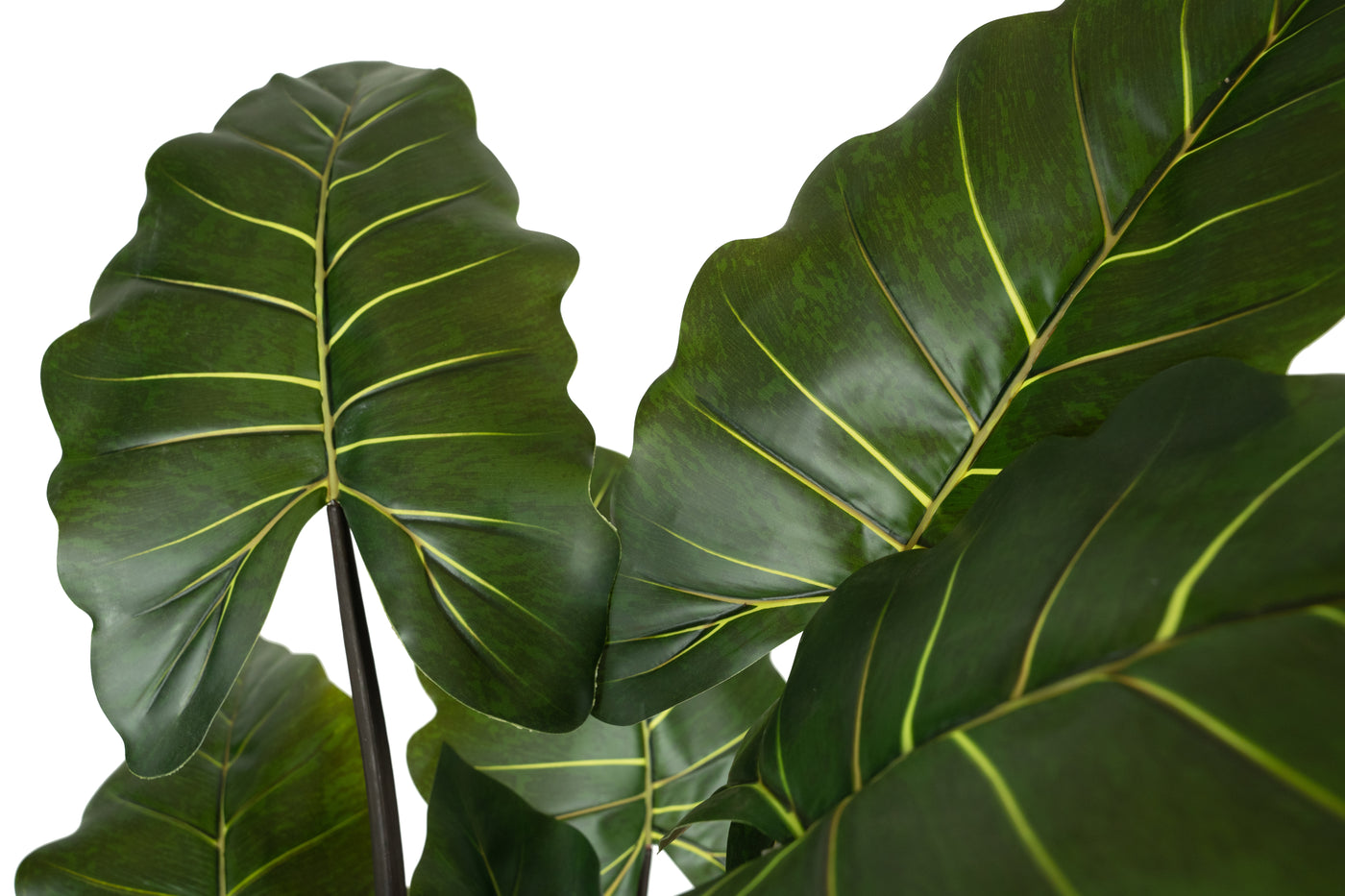 Alocasia artificiala H150cm calidora cu 14 frunze