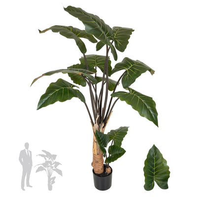 Alocasia artificiala H150cm cu 13 frunze