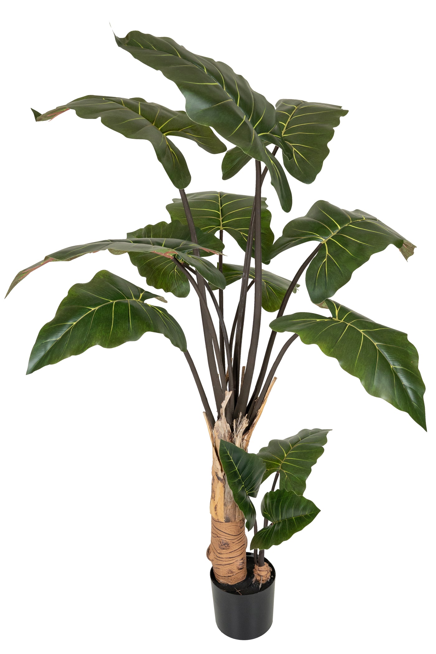 Alocasia artificiala H150cm cu 13 frunze