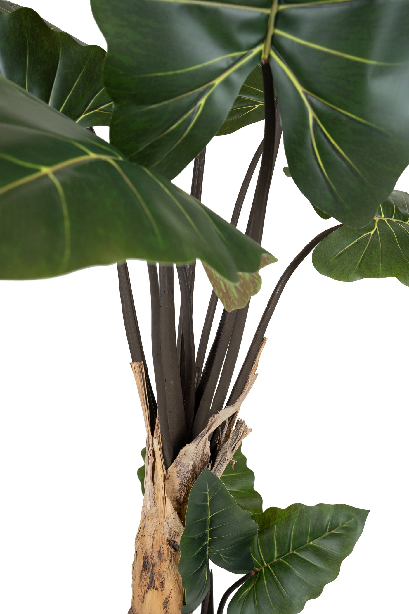 Alocasia artificiala H150cm cu 13 frunze