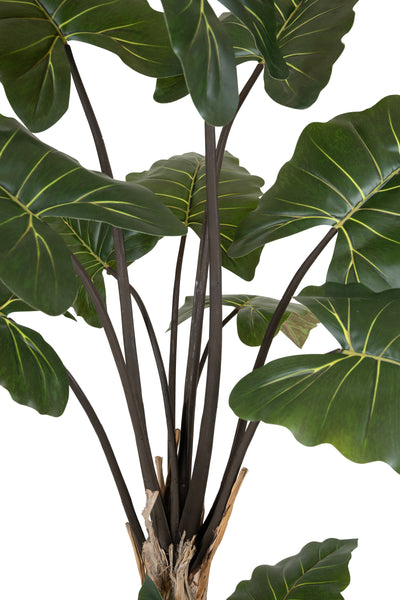 Alocasia artificiala H150cm cu 13 frunze