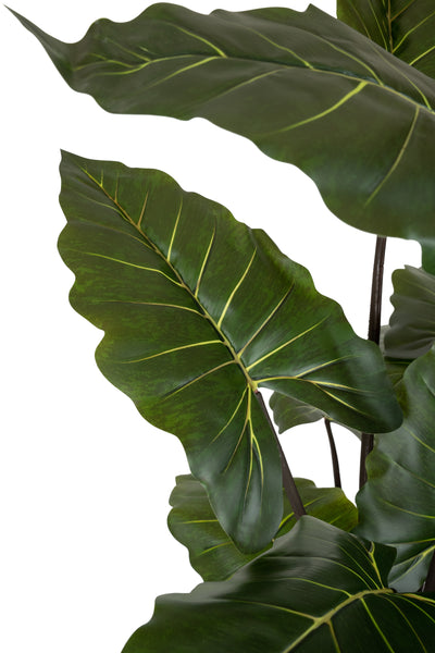 Alocasia artificiala H170cm cu 20 frunze