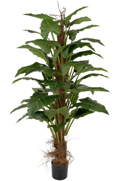 Alocasia artificiala H180cm cu 44 frunze