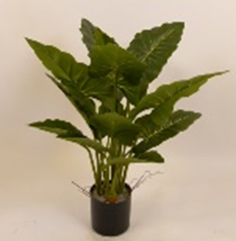 Alocasia artificiala H80cm calidora cu 11 frunze