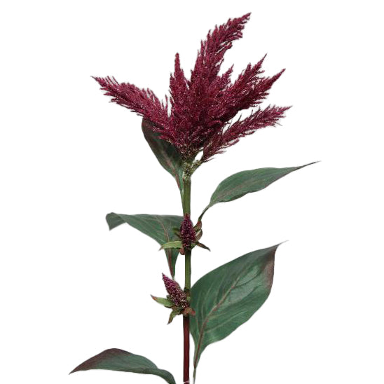 Amaranthus artificial 70 cm HO fuchsia