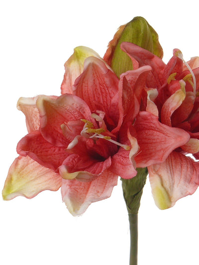 Amaryllis artificial D15xH41 cm roz