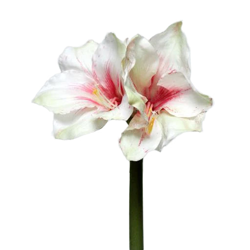 Amaryllis artificial D20xH50 cm HO alb