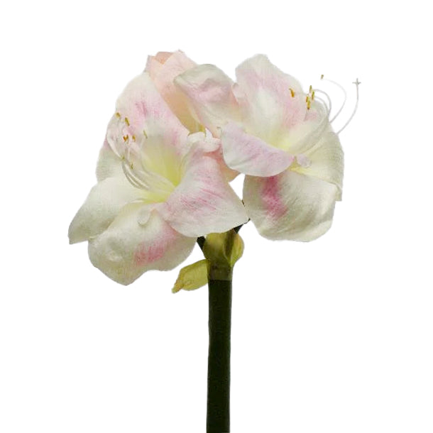 Amaryllis artificial D20xH60 cm HO roz