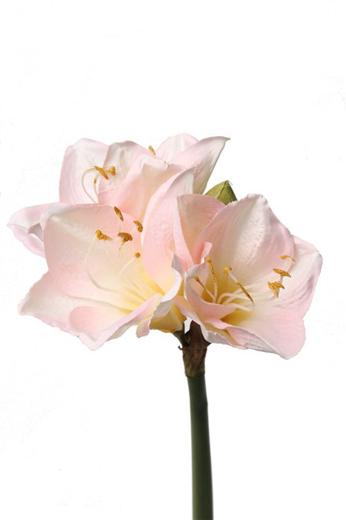 Amaryllis artificial Lisa D20xH54 cm roz