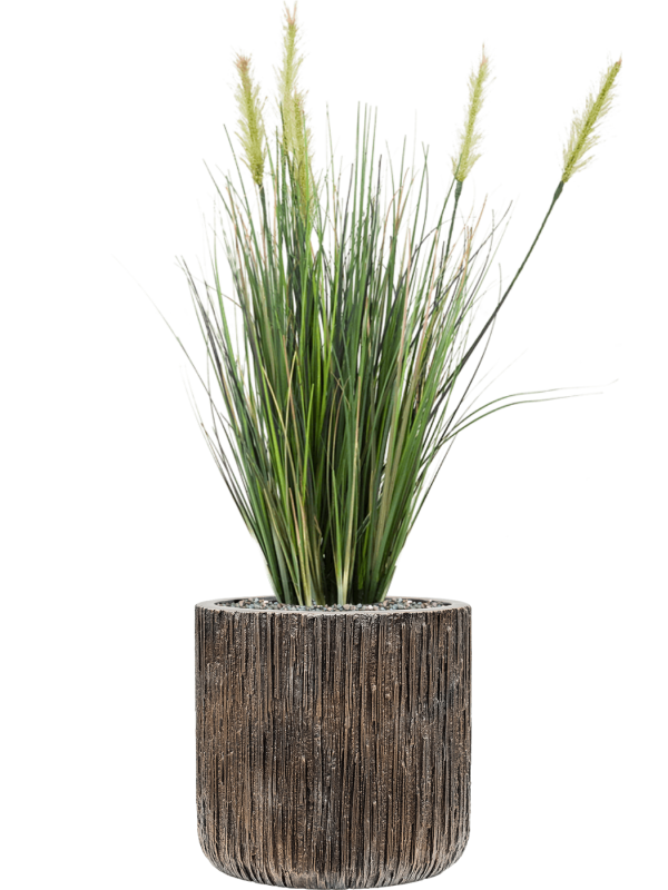 Ansamblu D23xH66cm cu planta naturala Grass in ghiveci Baq Luxe Lite Universe Waterfall all inclusive set cu granule decorative