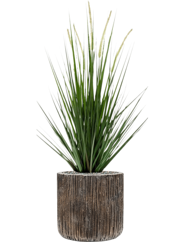Ansamblu D23xH74cm cu planta naturala Grass Alopecurus in ghiveci Baq Luxe Lite Universe Waterfall all inclusive set cu granule decorative