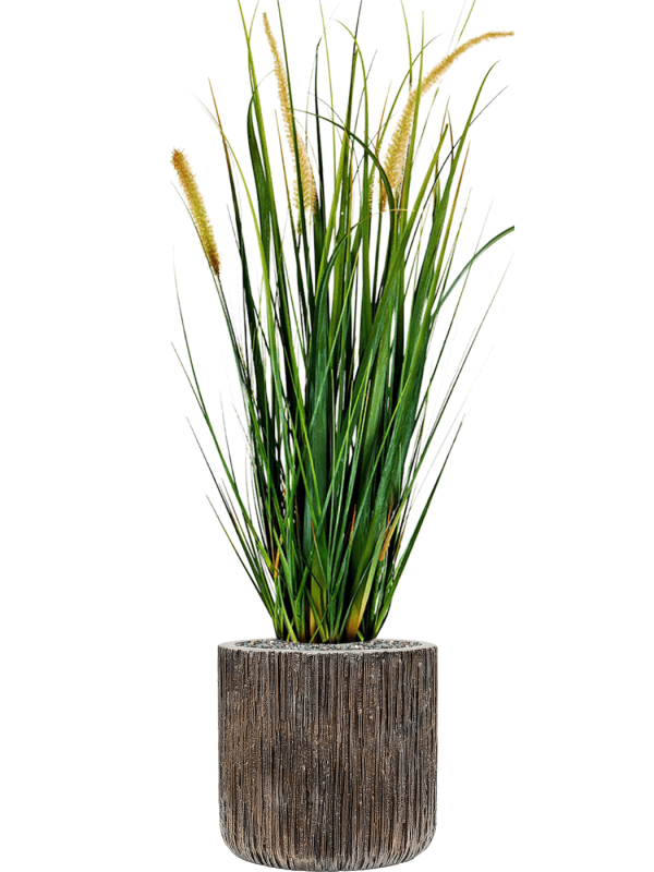 Ansamblu D23xH81cm cu planta naturala Grass Foxtail in ghiveci Baq Luxe Lite Universe Waterfall all inclusive set cu granule decorative