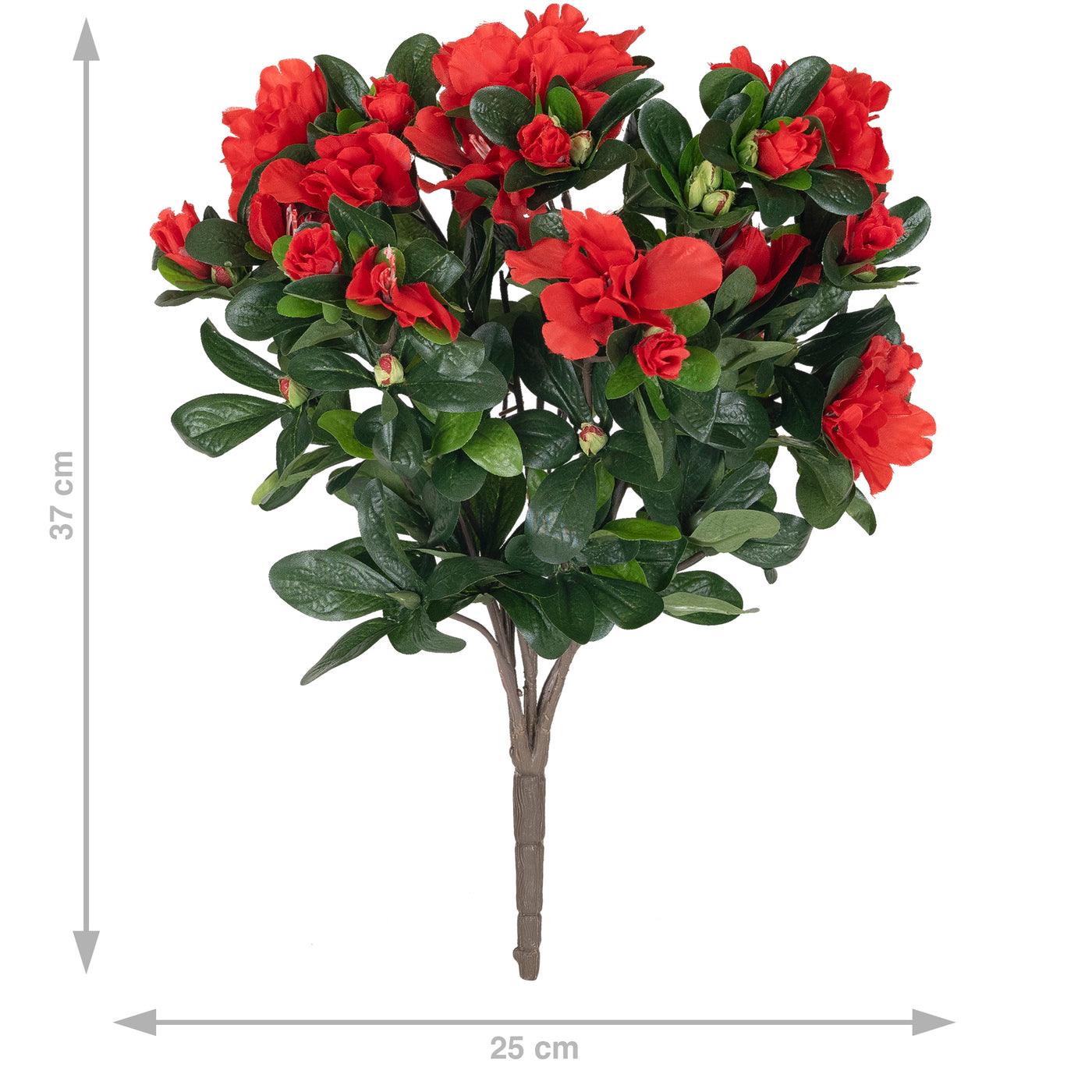 Azalea 37 cm. rosu