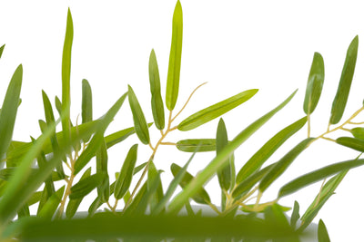 Bambus japonez artificial H120cm cu 1458 frunze