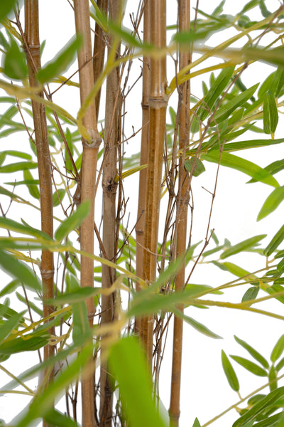 Bambus japonez artificial H120cm cu 1458 frunze