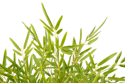 Bambus japonez artificial H150cm cu 2916 frunze