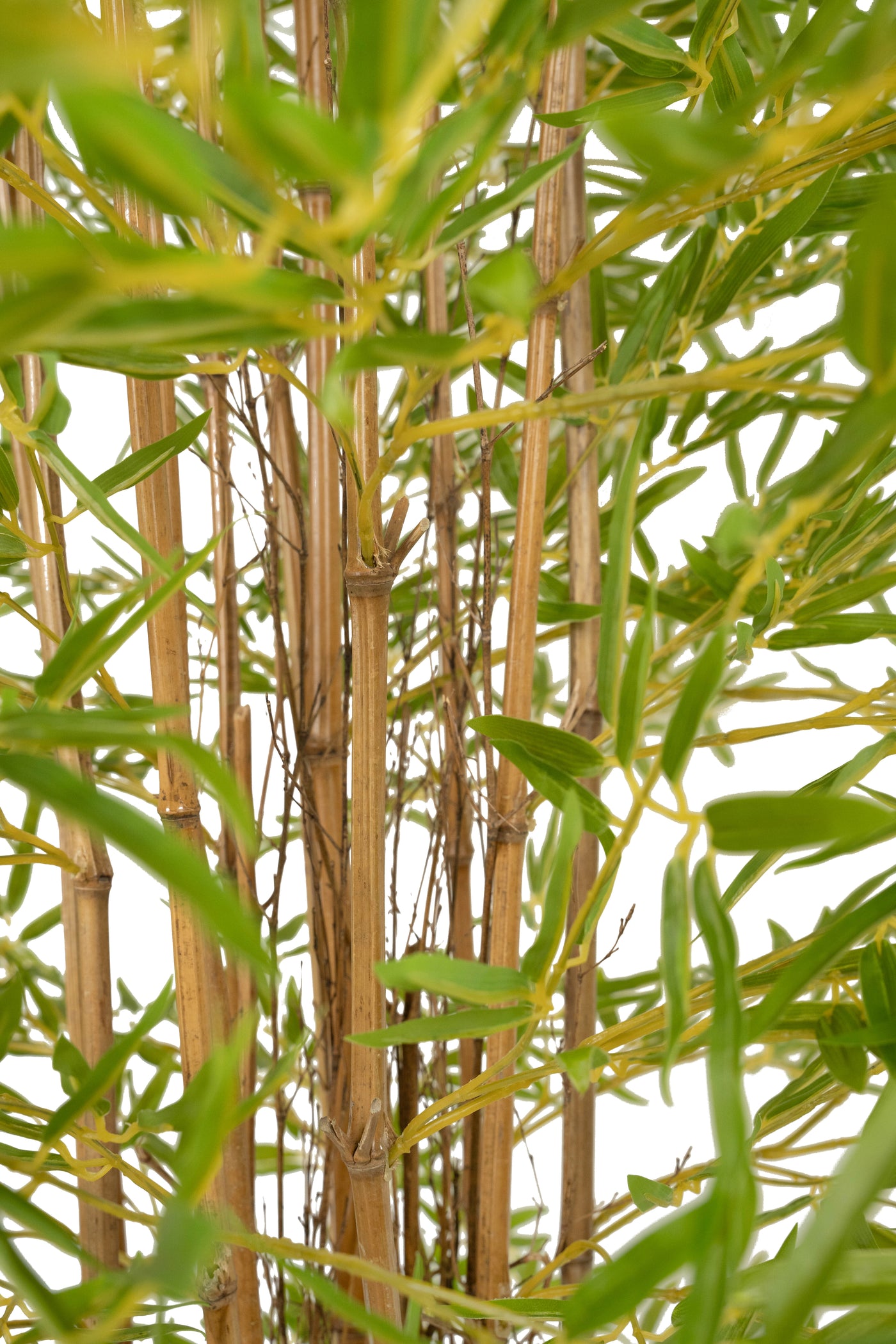 Bambus japonez artificial H240cm cu 8262 frunze