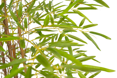 Bambus japonez artificial H90cm cu 972 frunze